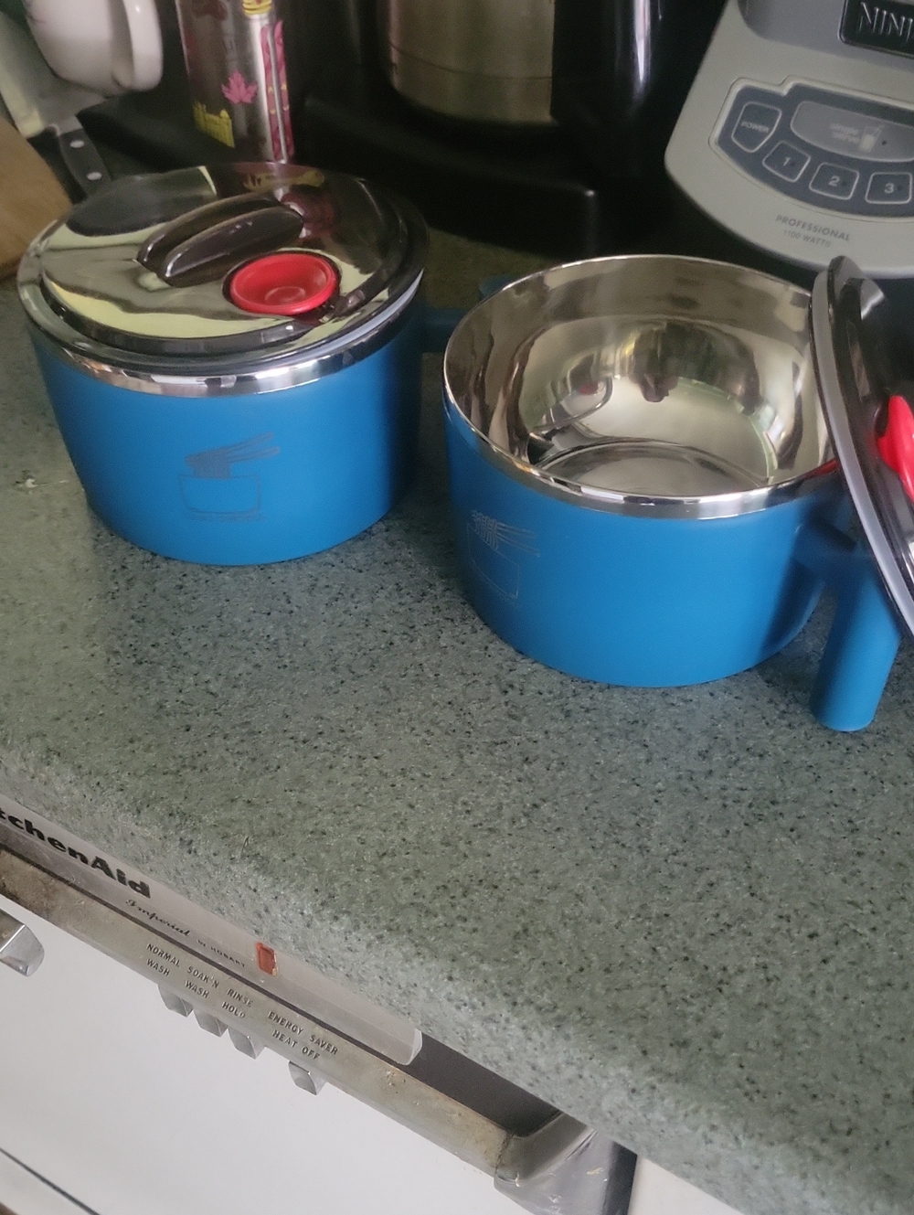 Set Of 2 Blue Ramen Bowls with Air-Tight Lids